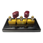 Dual Connection Plug Switch